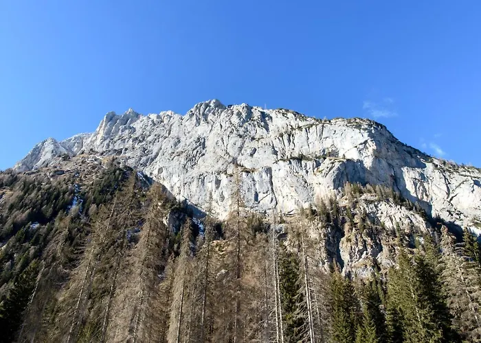 Hotel Garni Roberta Malga Ciapela
